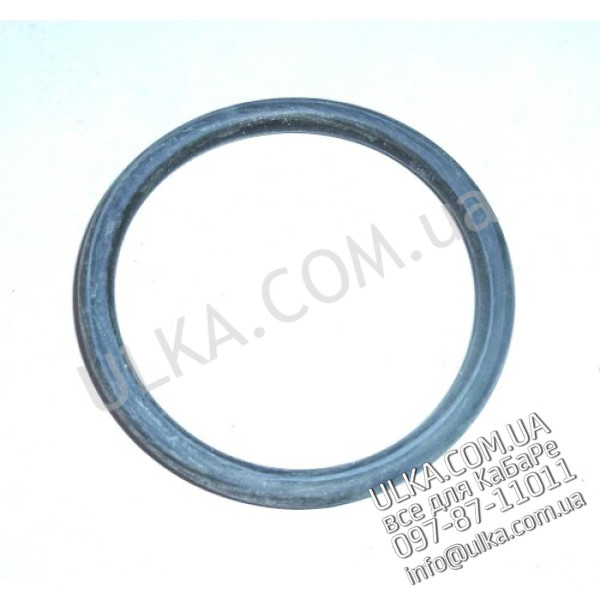 O-RING SIEBTRAEGER ! PD(3)