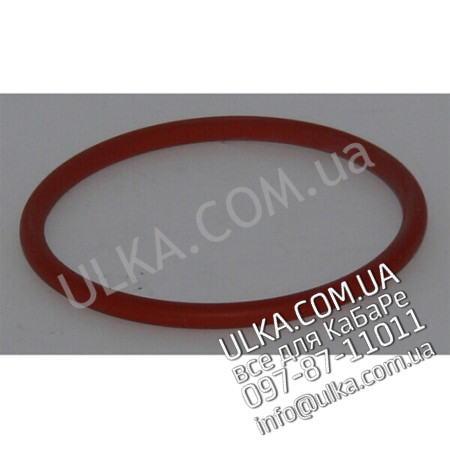 O-RING KARTUSCHE M20 ! PD(3)