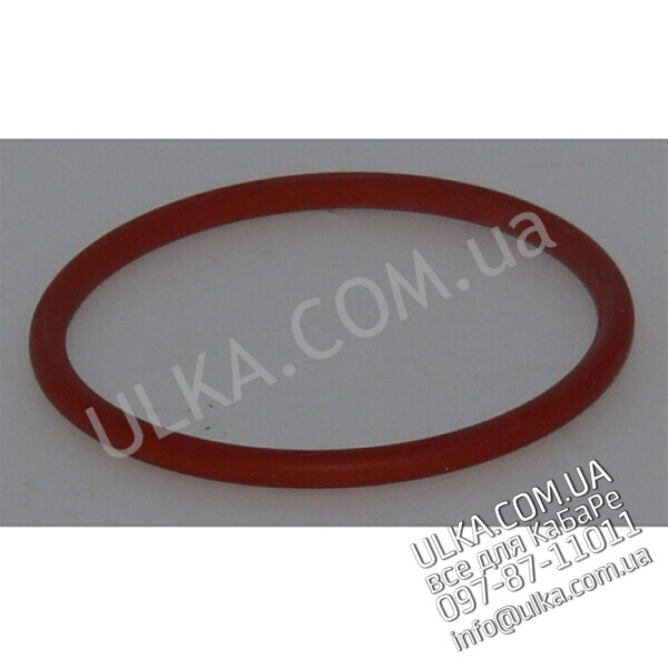 O-RING KARTUSCHE M20 ! PD(3)