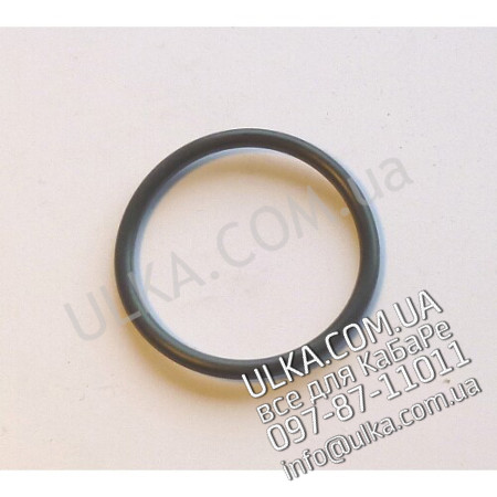O-RING HEIZKOERPER ! PD(3)