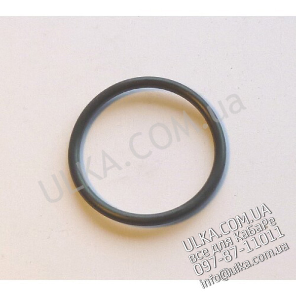 O-RING HEIZKOERPER ! PD(3)