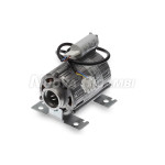 SMALL PUMP MOTOR 150W 220V/50/60 Nuova Ricambi